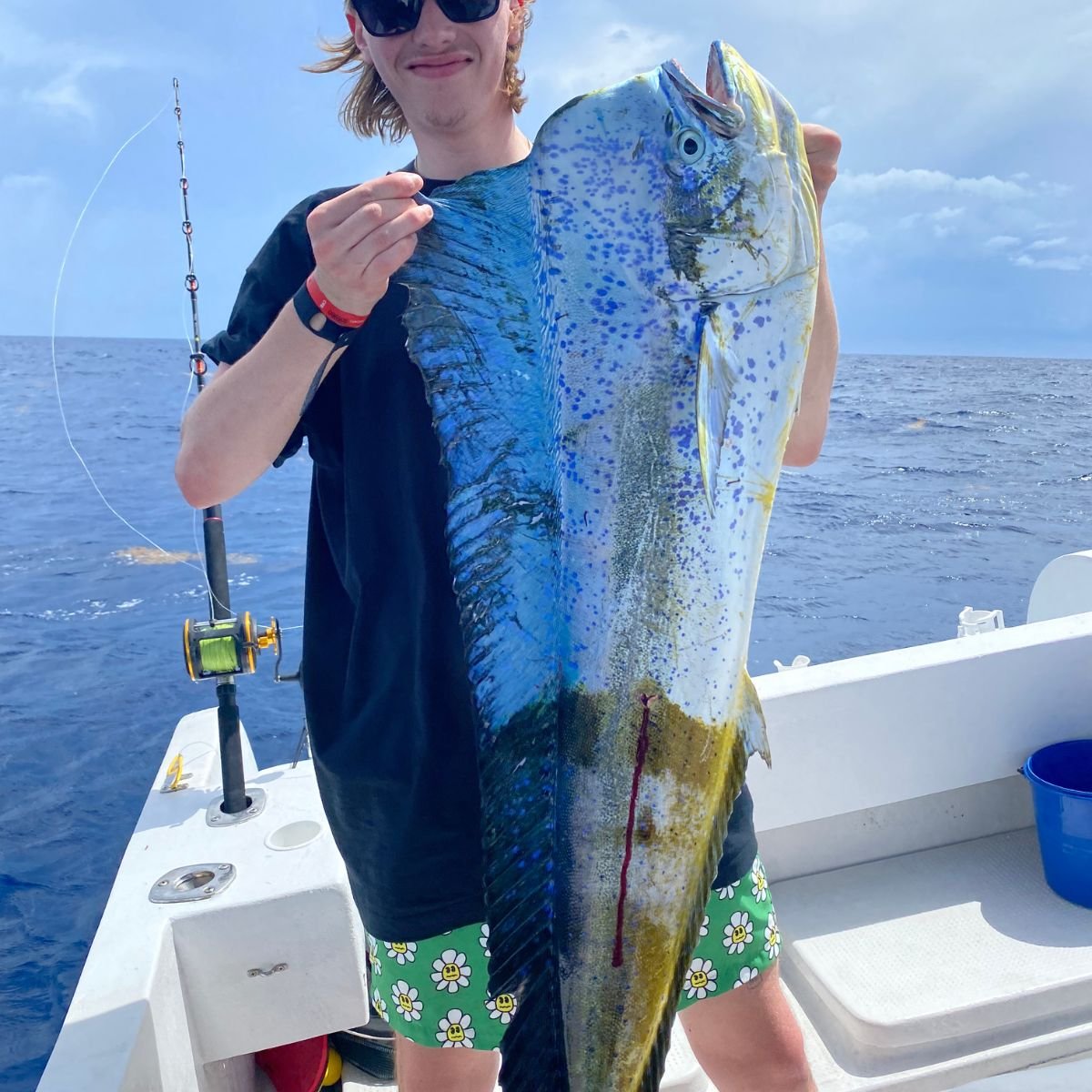 About (1200 x 1200 px)